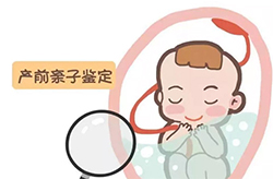 迪庆肚中宝宝和父亲需要怎么办理DNA亲子鉴定[专业咨询]，迪庆孕期亲子鉴定准确率高吗